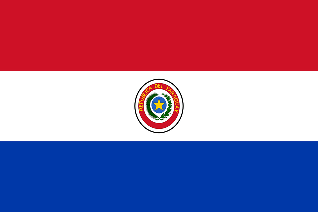 bandera paraguay cepex