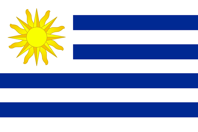 bandera uruguay cepex